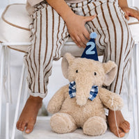 And The Little Dog Laughed - Soft Toy - Cedric Party Elephant