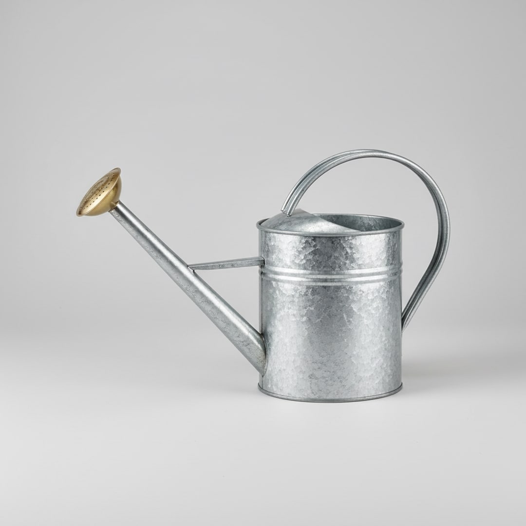 Regadera galvanizada, 5 L